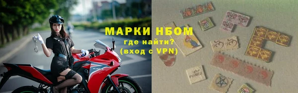 молекула духа Чердынь