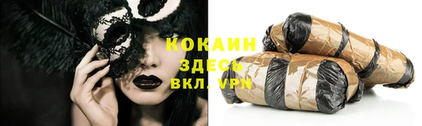 бошки Горняк