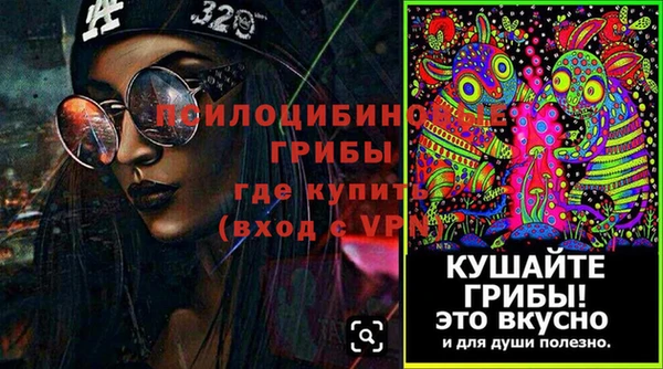 соль ск Горно-Алтайск