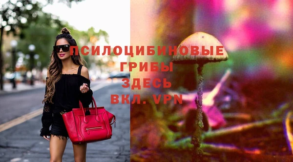 бошки Горняк