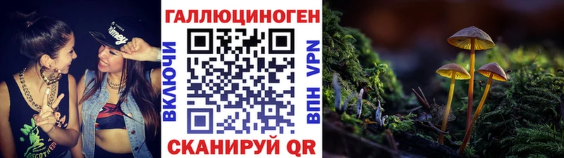 магазин продажи наркотиков Задонск Галлюциногенные грибы Psilocybe